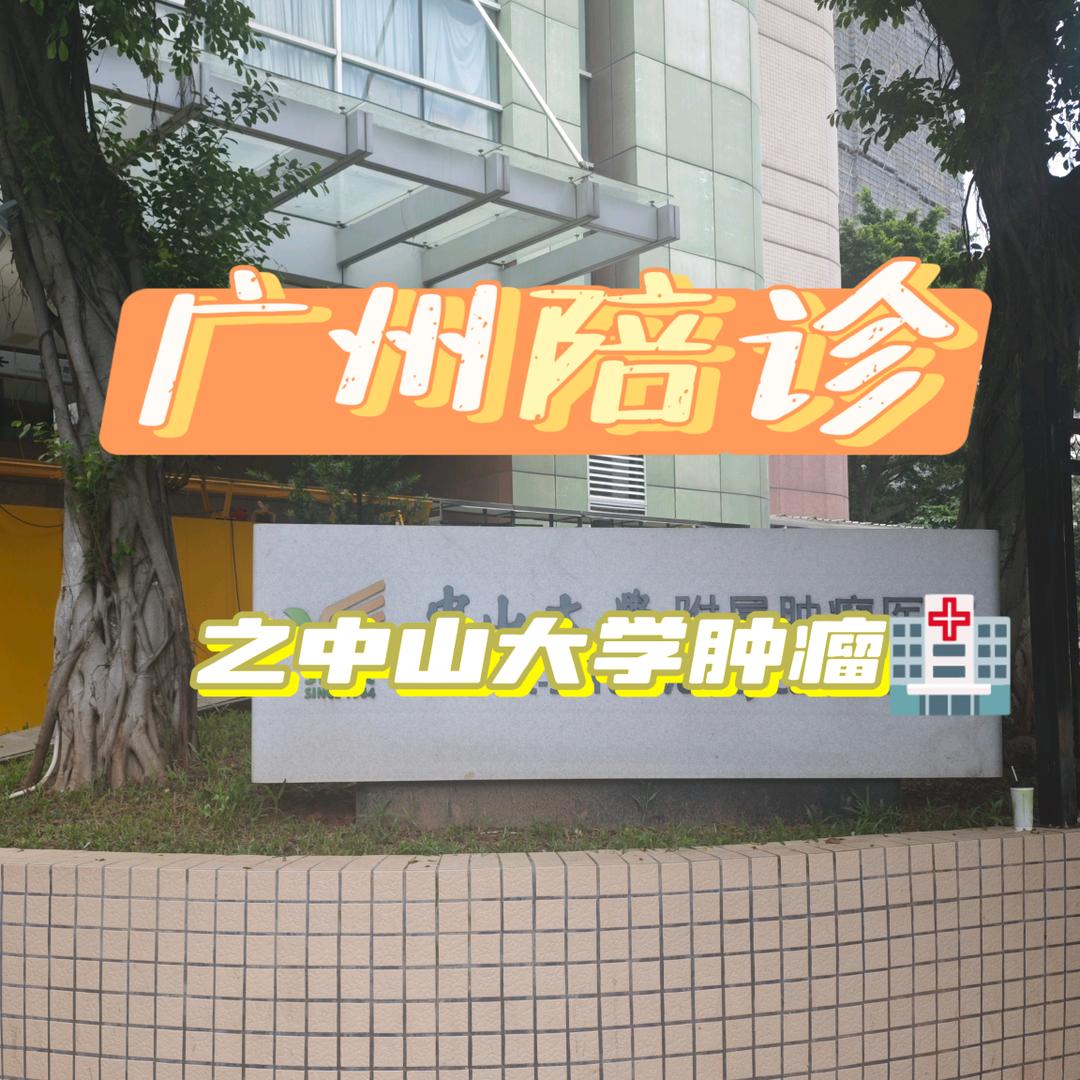 广东陪诊学长