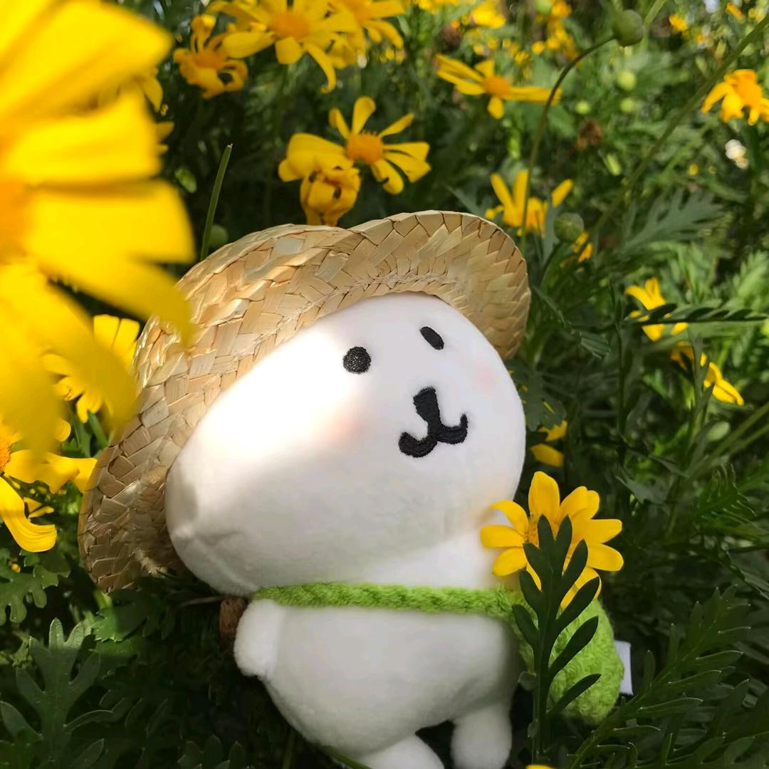 🌈金枪鱼紫菜包饭卷