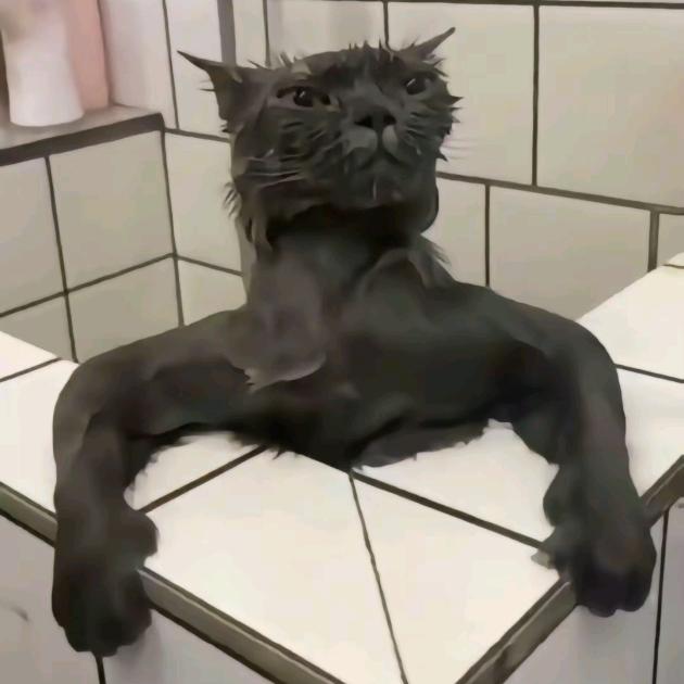 カタオモイ