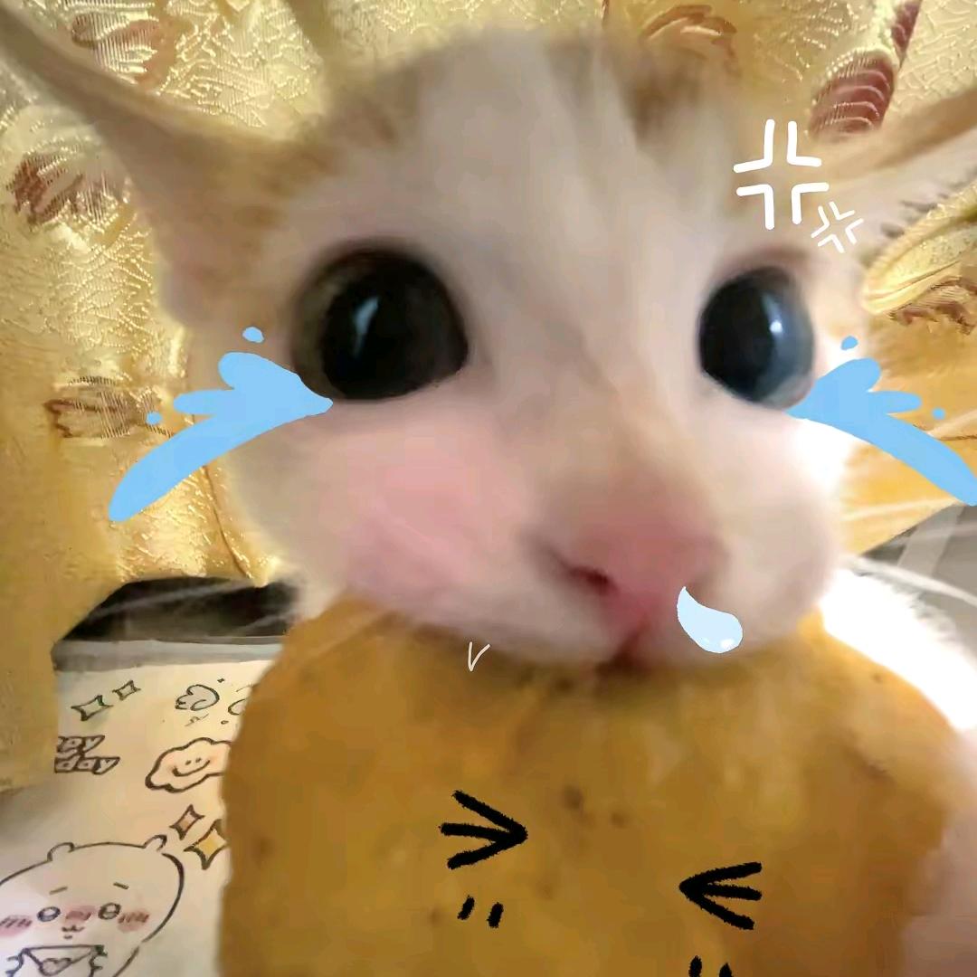 顺走小金毛