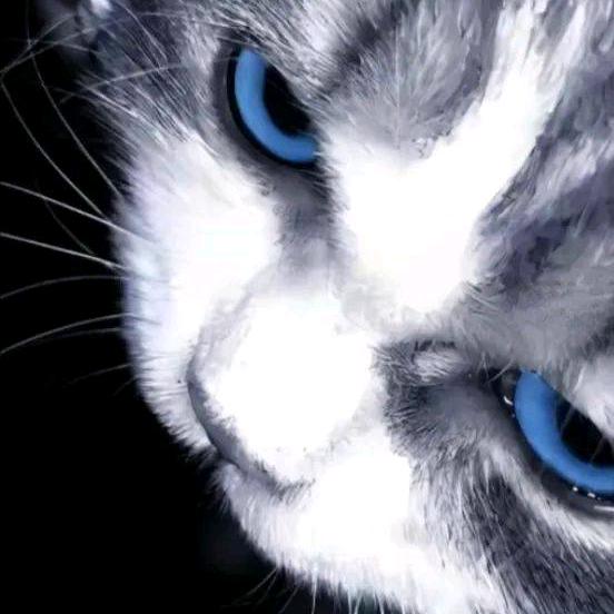 就咬亿口ᯠ_   ̫ _ᯄ