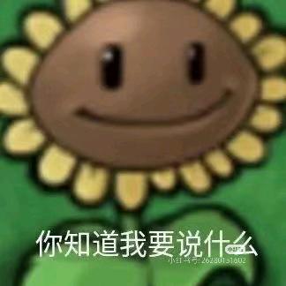 光明relo向日葵🌻