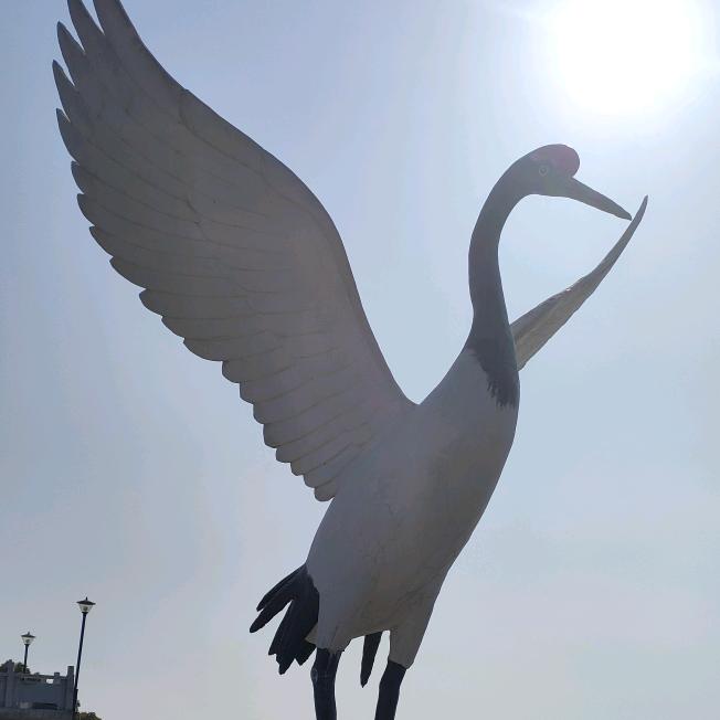 忙忙碌碌的工作