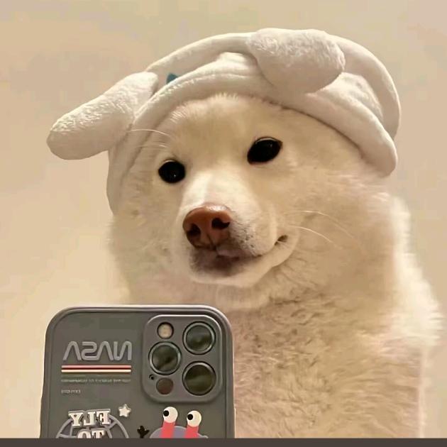 💋  杨杨Yaᴗang.ᥫᩣ🐑