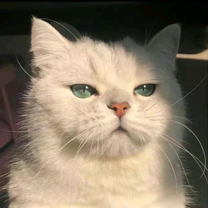 李信