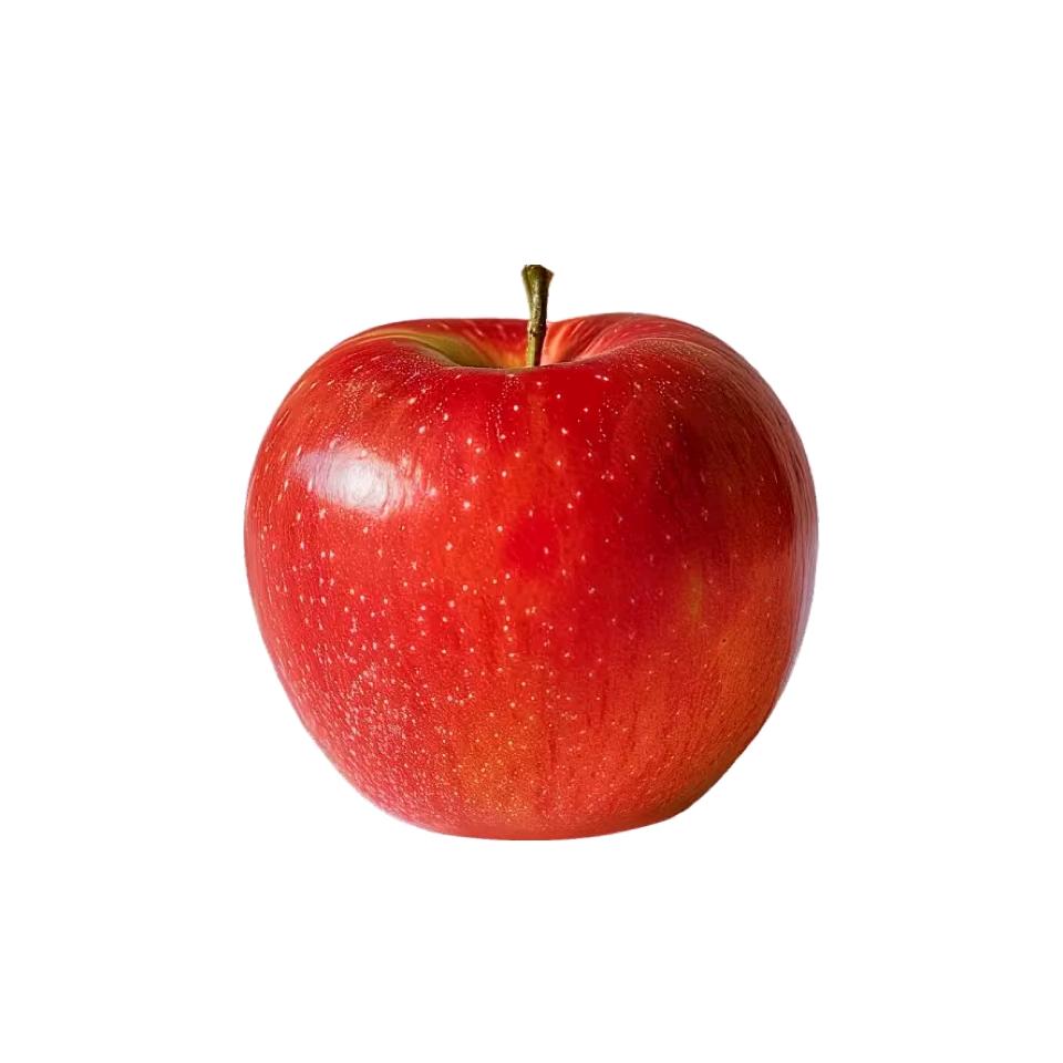 山海人家鲜果乐园