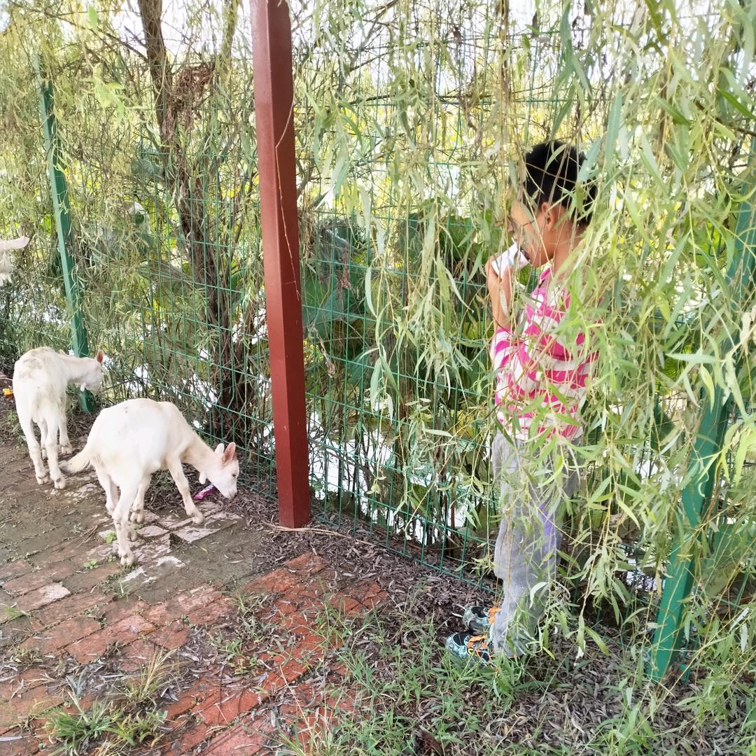 蒙蒙雨纷飞