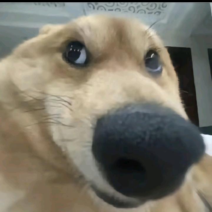 耶斯莫拉