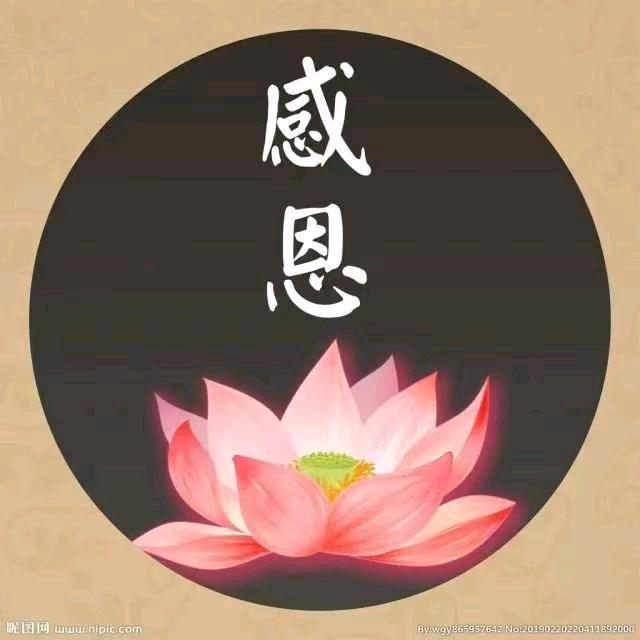 顺其自然，平安喜乐