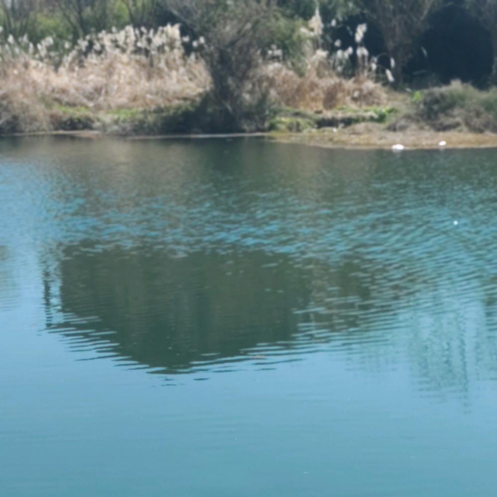 朗恒国际全屋定制  小冯