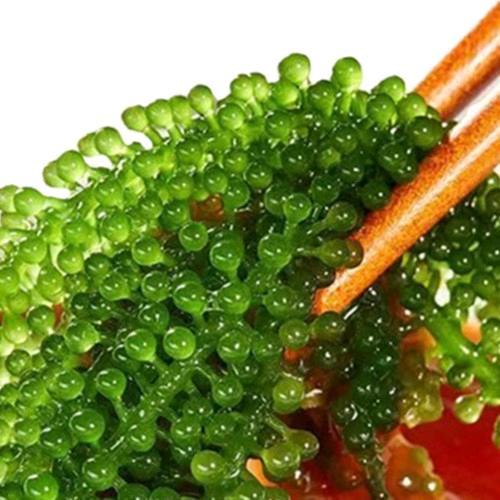 嗨鲜守生鲜水产店