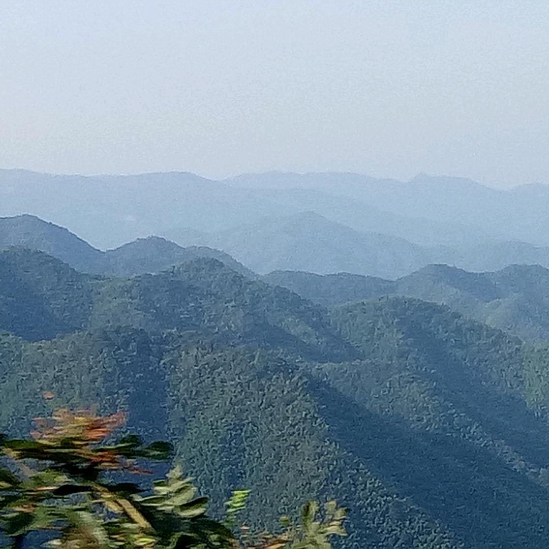 随意