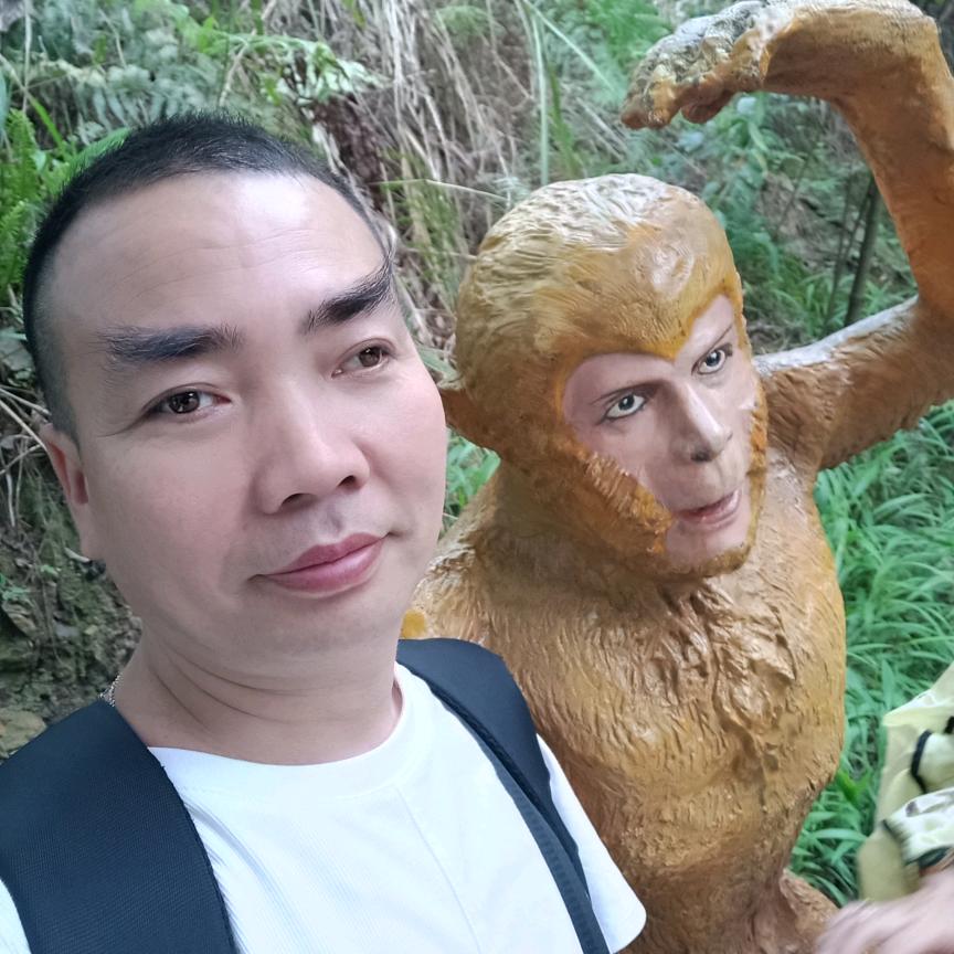 骑着飞鱼游世界