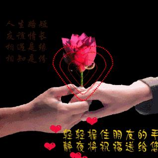 🥀快乐过一生(真诚相待)