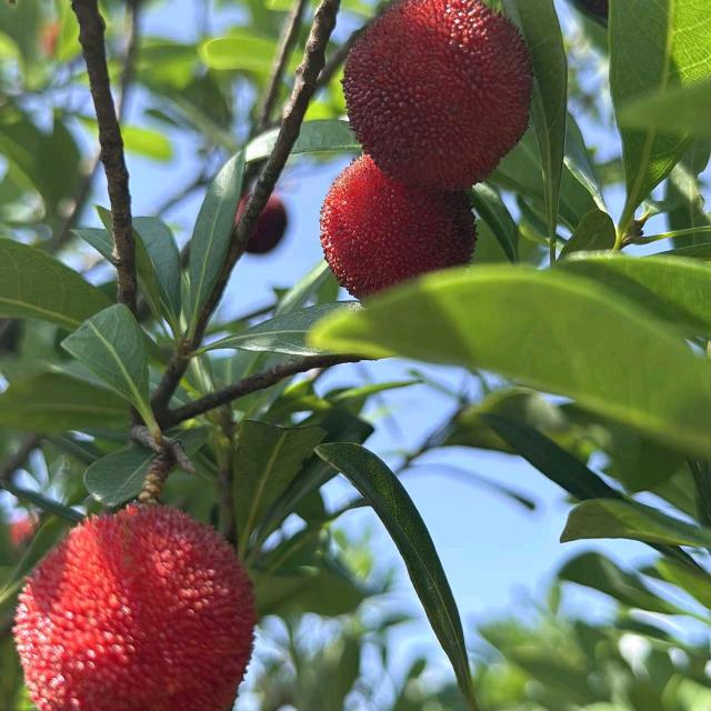 爱尚运动（舞蹈）