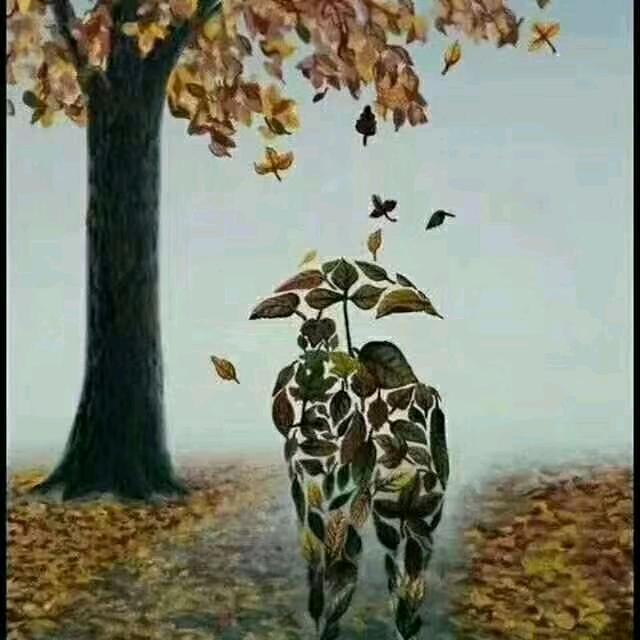 艾尼玩