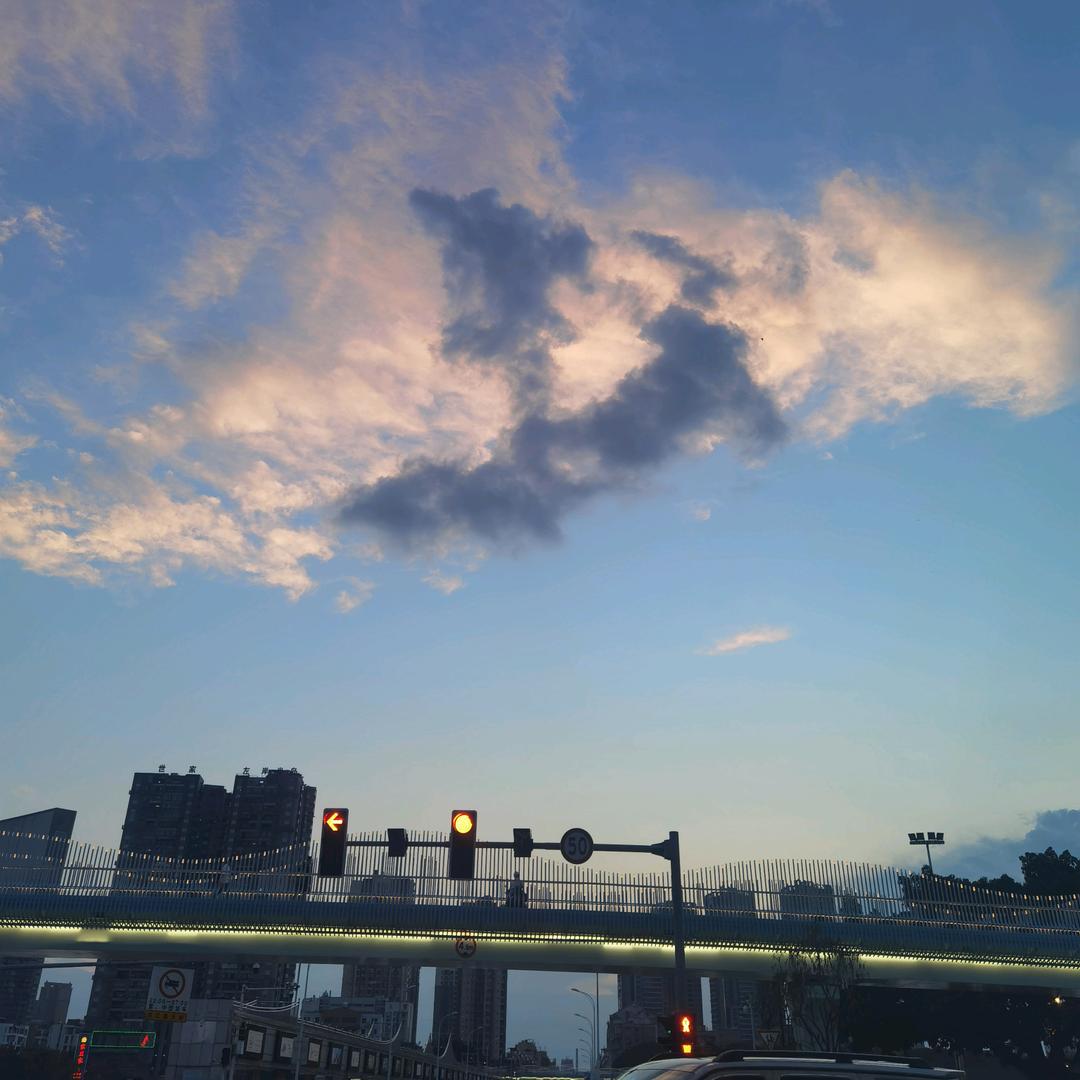城市流浪者