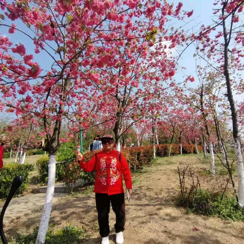 东山小辣椒戏乐队