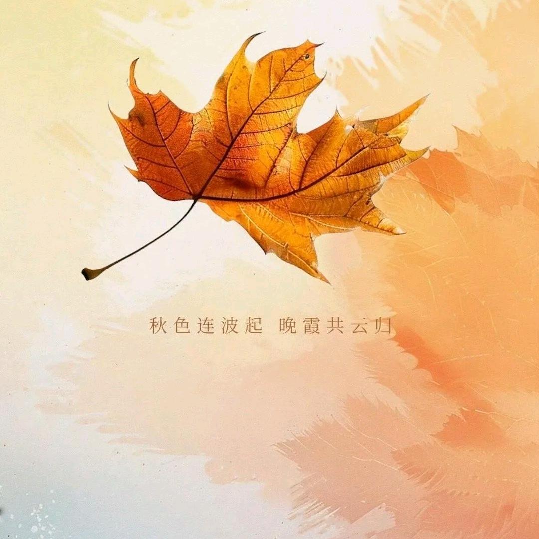 清风明月