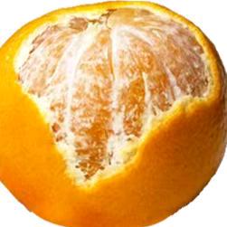 宇宙超级无敌爱吃橙子🍊
