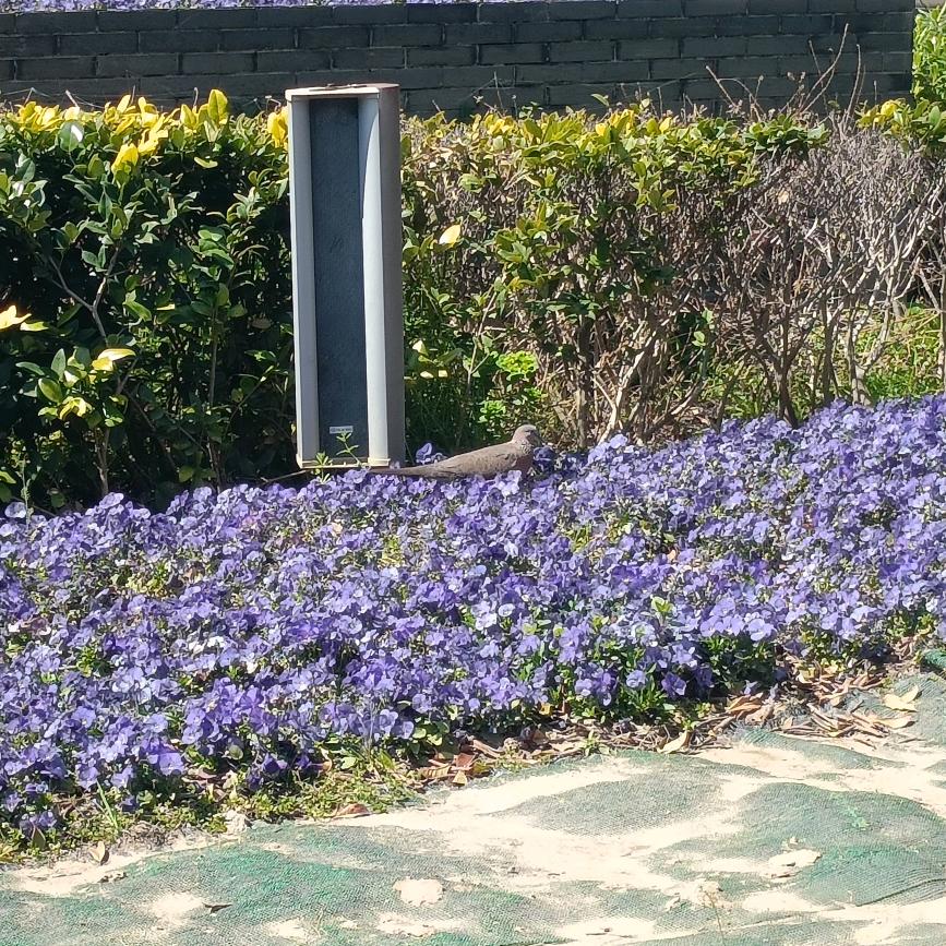 维维简致
