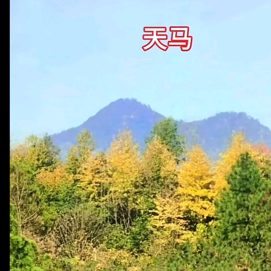 青云派创始人（杨斌）