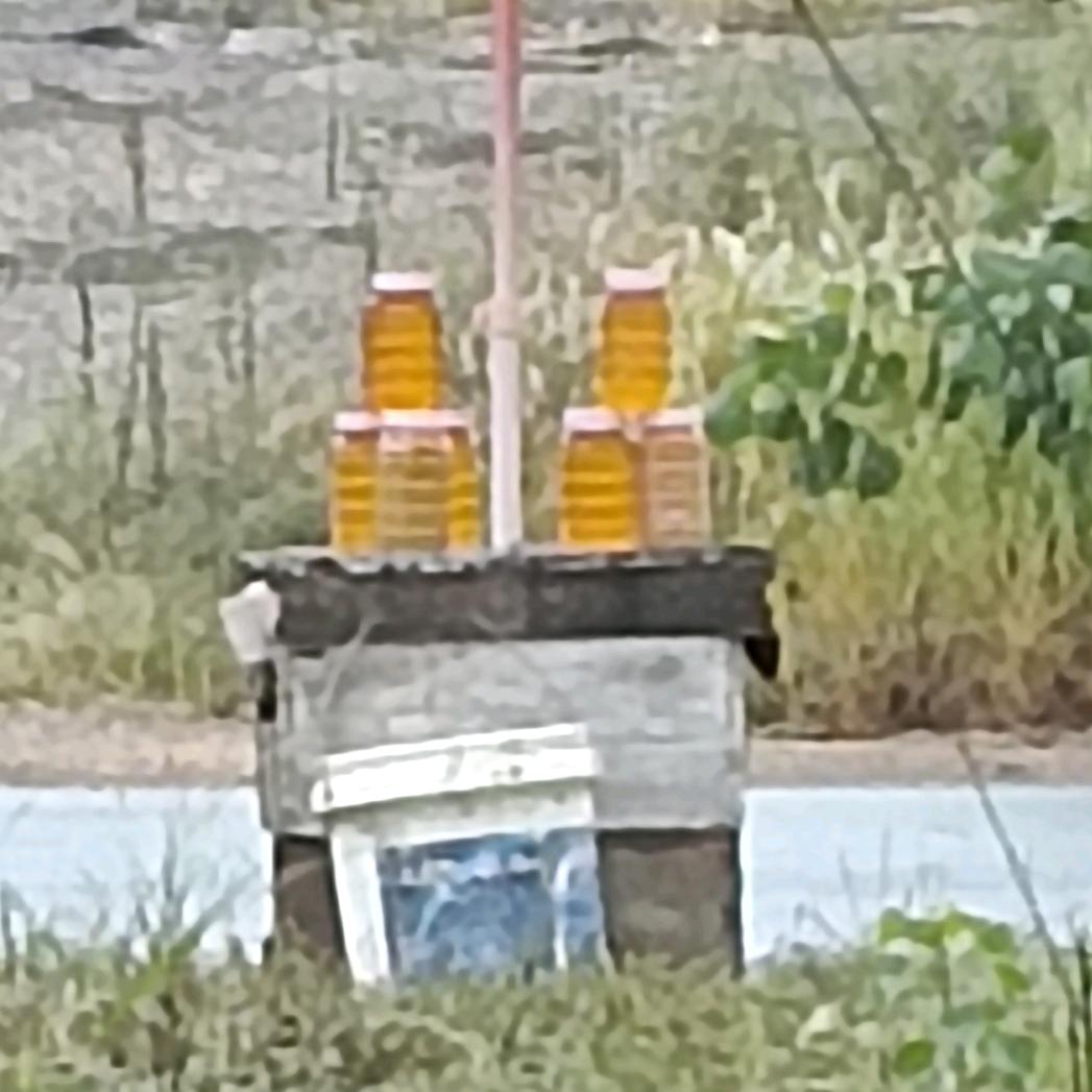 牧蜂佬