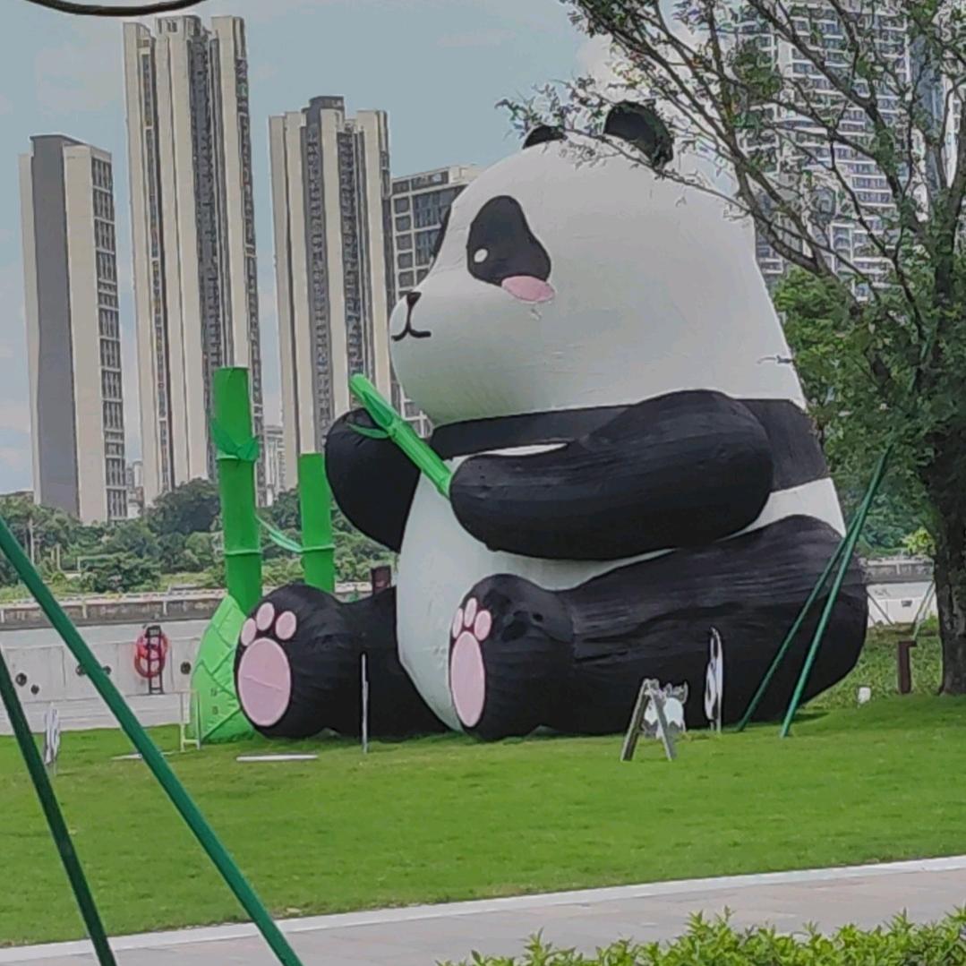 小熊维尼纶