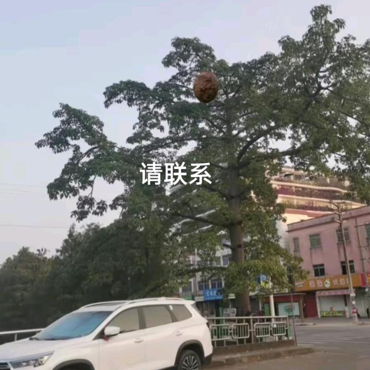 用户5025423572020