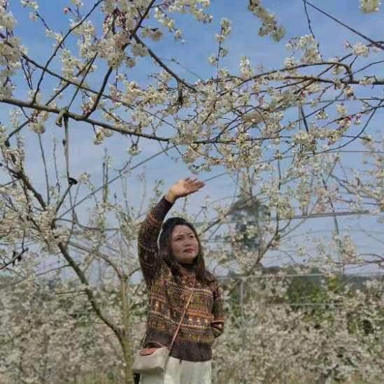 新都吉祥窗帘小凤