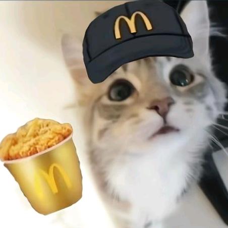 悲伤的茉莉蜜茶