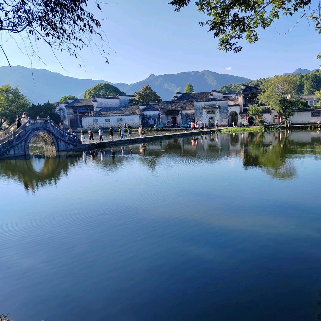 一揽芳华