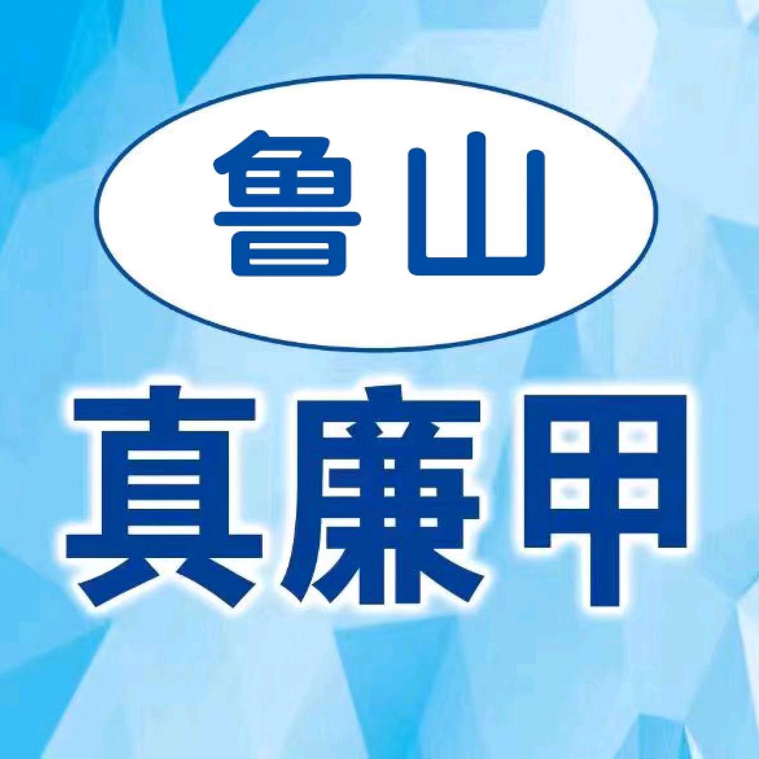 鲁山二手市场（真廉甲）