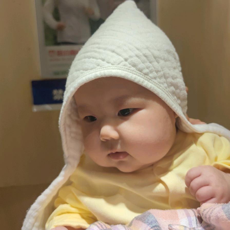 洛阳京东全职小趴菜