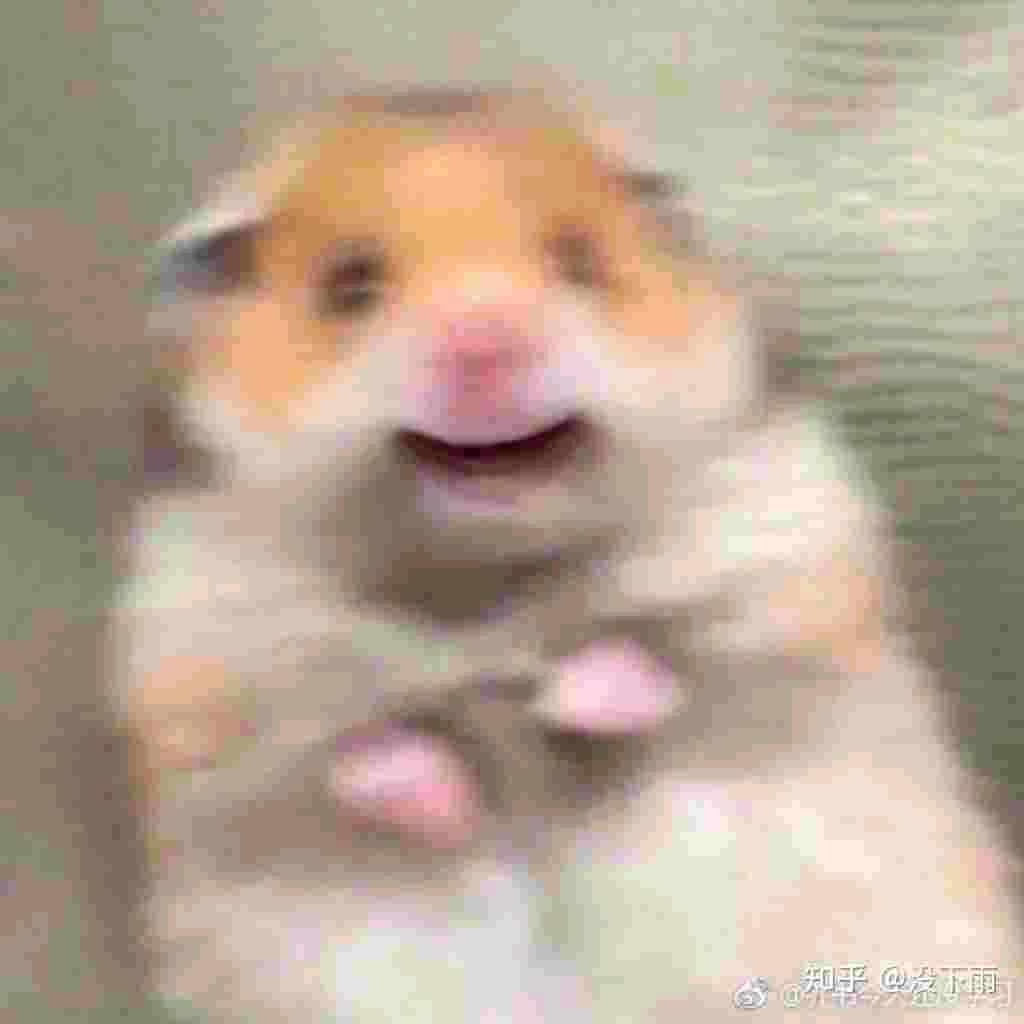 风说你是宠儿