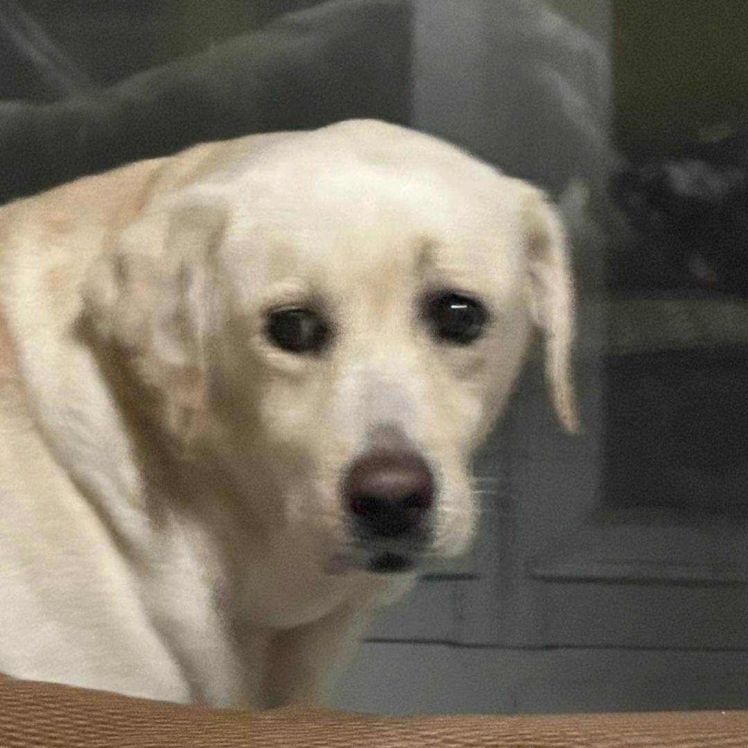 一拳让你见太奶