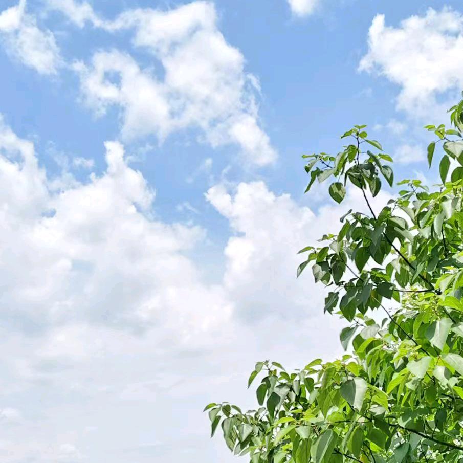 牛逼哄哄带闪电