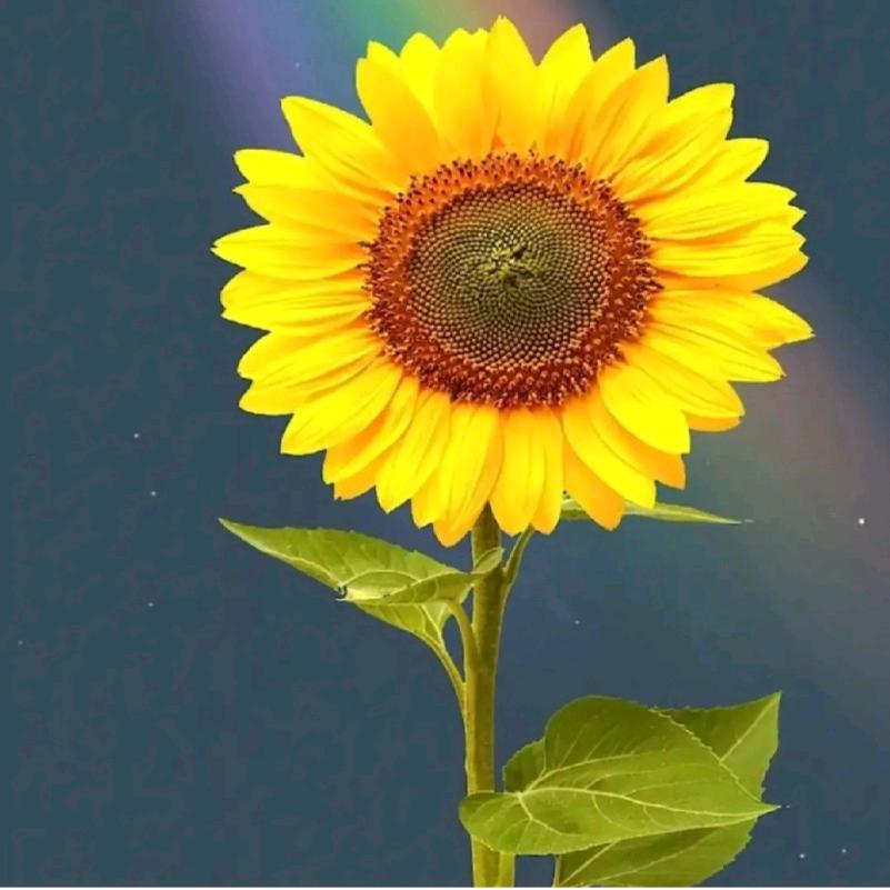 心情不好别惹我