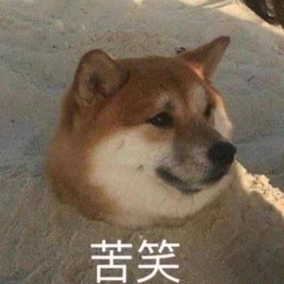 🌈做货代的小符