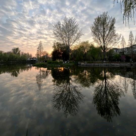 下次还是我们