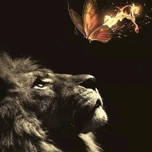 长威海产品  徐