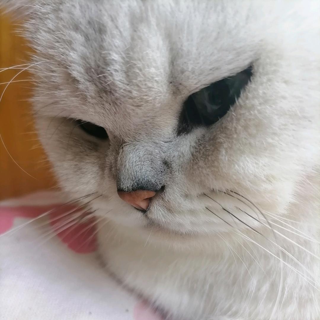 线上班主任赵老师