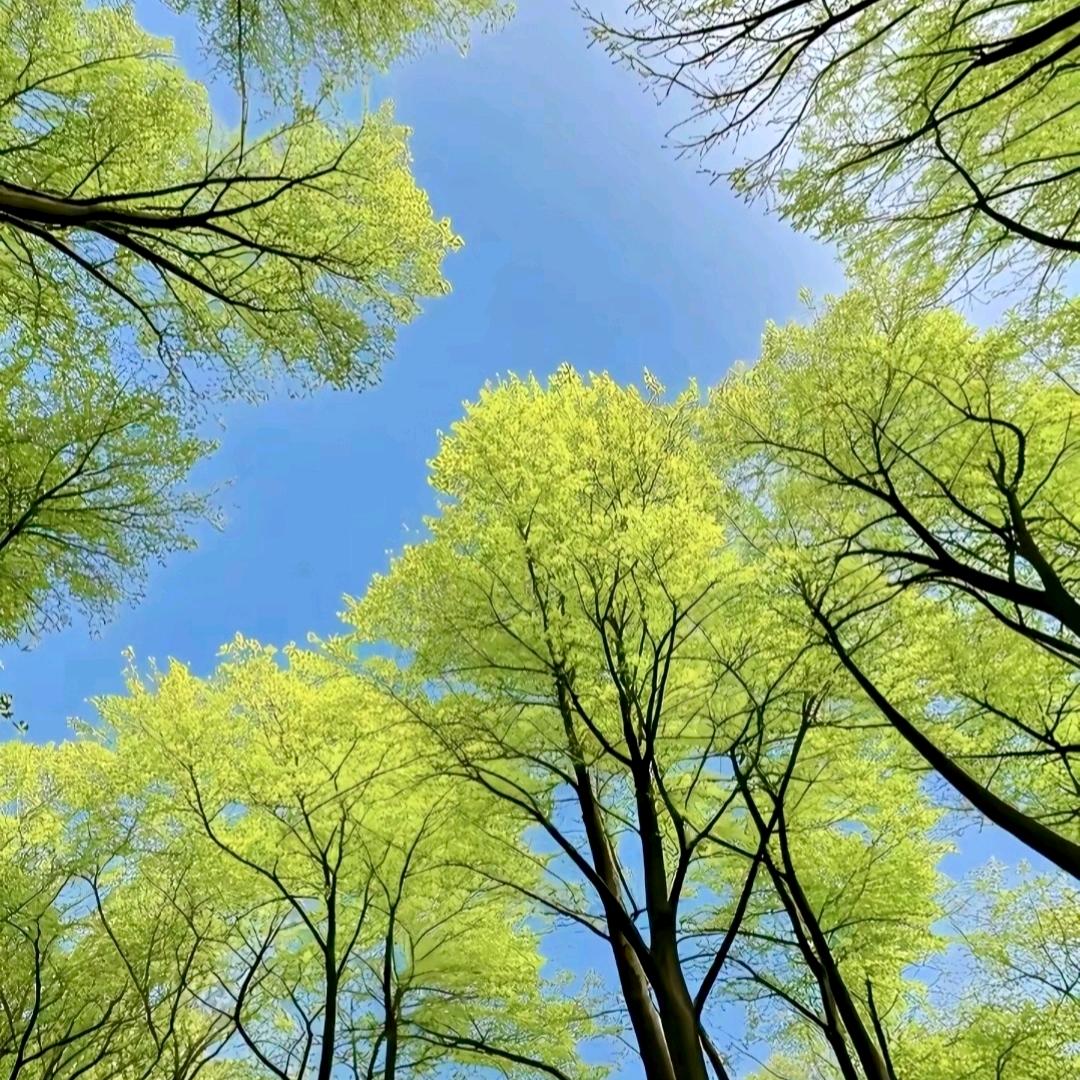 阿牛……