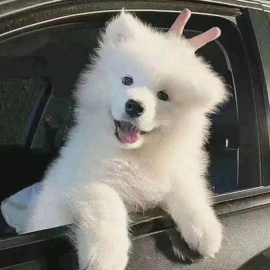 长温