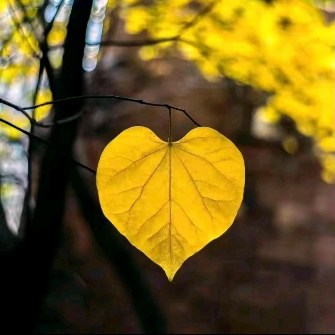 我额🍁