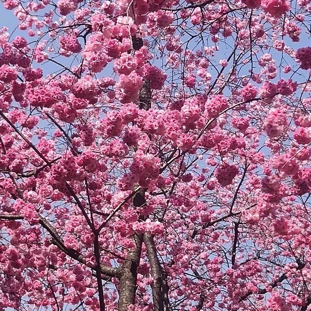 过好每一天，不负好时光