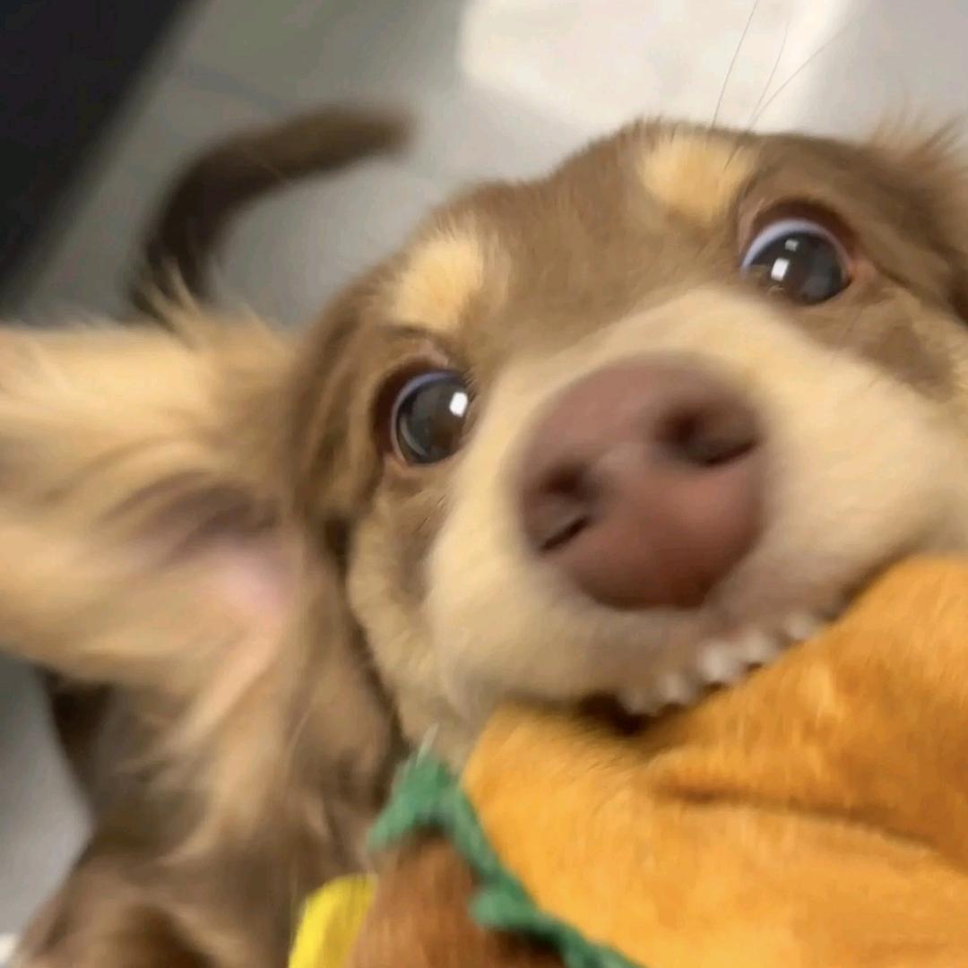 睡不着还睡不醒