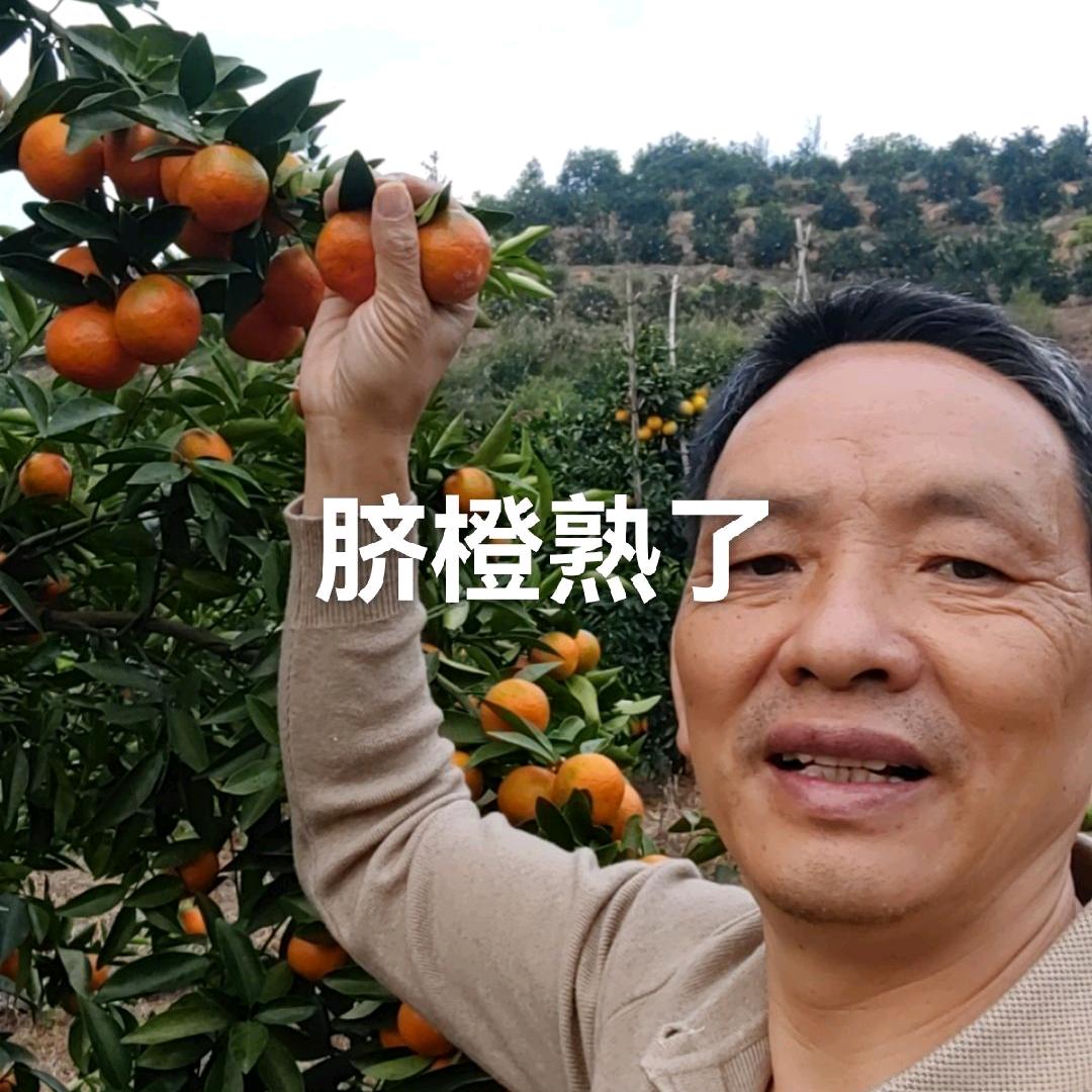 橙哥永惠