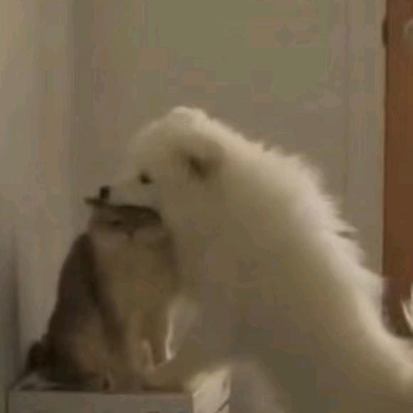 腐草为萤