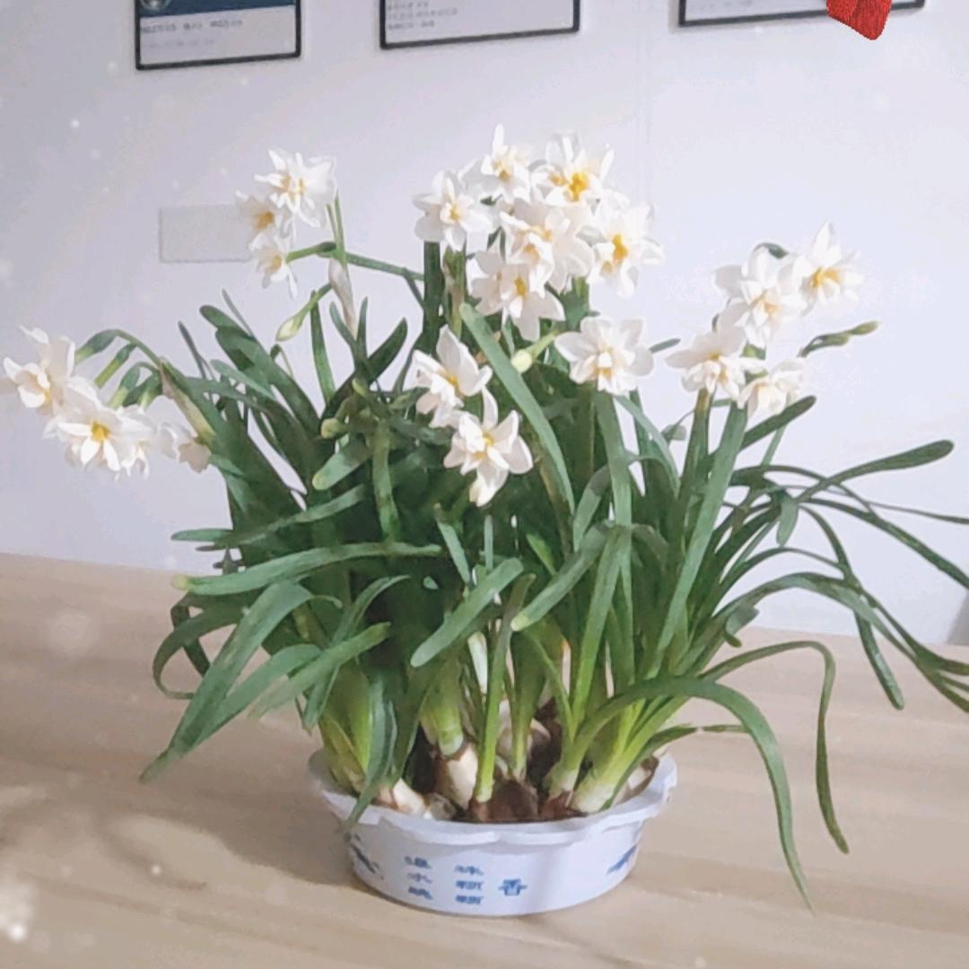 丶廾匸
